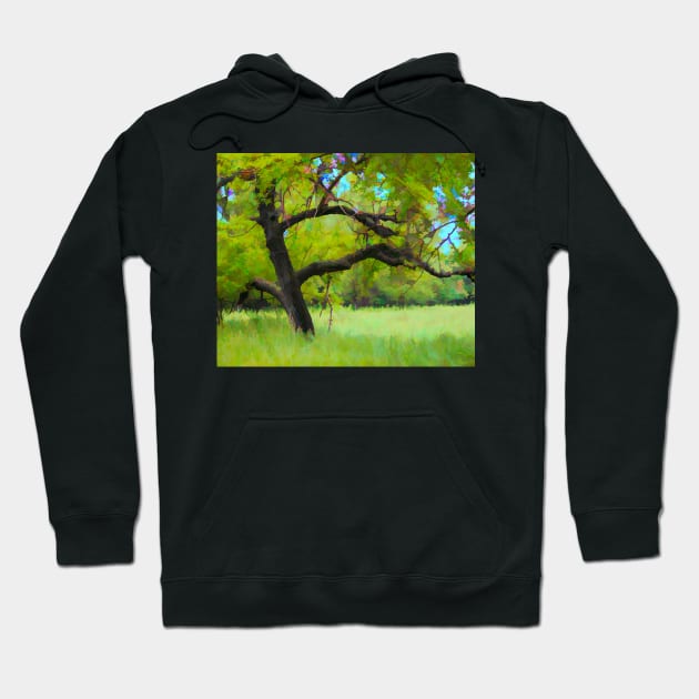 Old tree illustration Hoodie by CanadianWild418